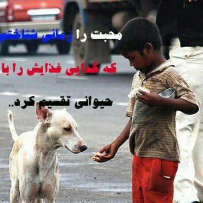 عکس نوشته شناخت محبت