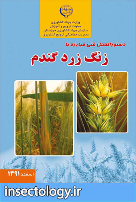 آفات و بیماری های پنبه