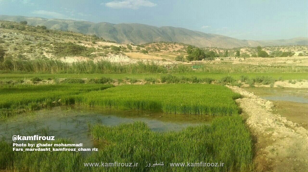 کامفیروز روستای چم ریز + عکس