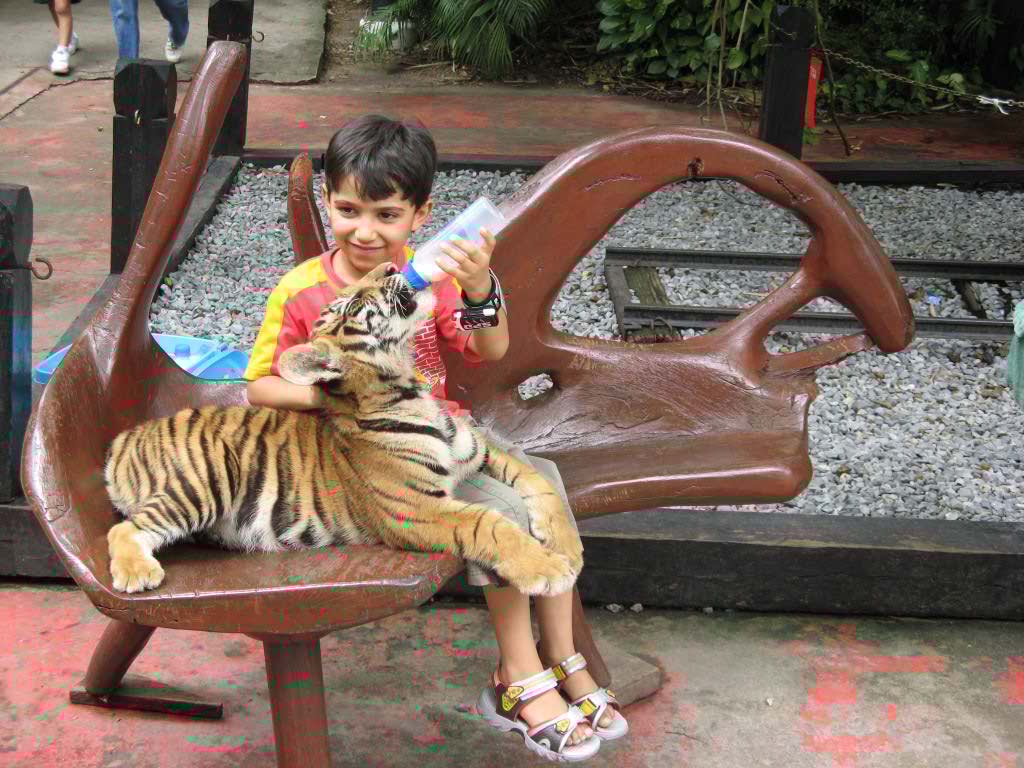 http://s9.picofile.com/file/8268515118/IMG_0282.jpg