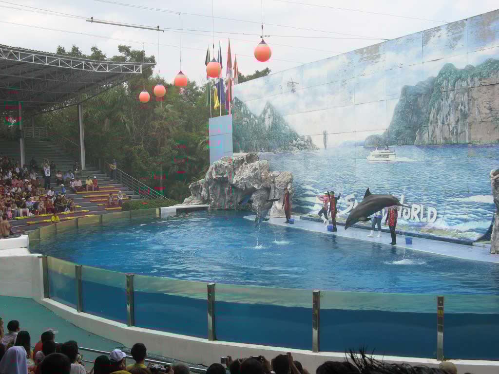 http://s9.picofile.com/file/8268515150/IMG_0302.jpg