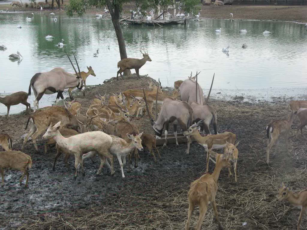 http://s9.picofile.com/file/8268515376/IMG_0351.jpg