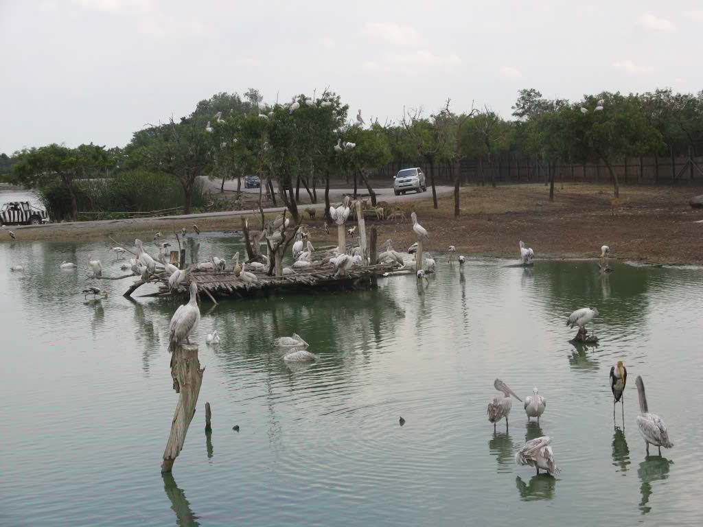 http://s9.picofile.com/file/8268515392/IMG_0353.jpg