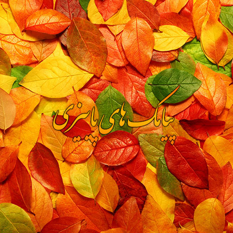 http://s9.picofile.com/file/8268630276/SMS_Paeezi.jpg