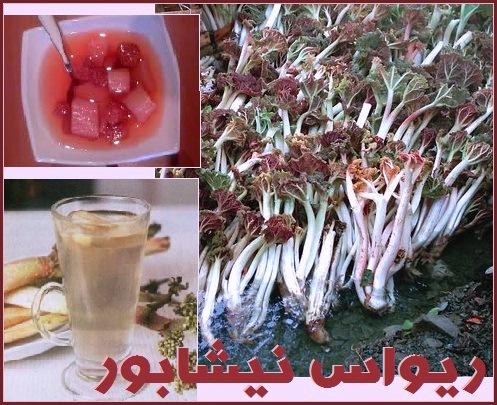ریواس نیشابور
