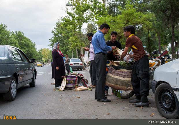 ریواس نیشابور