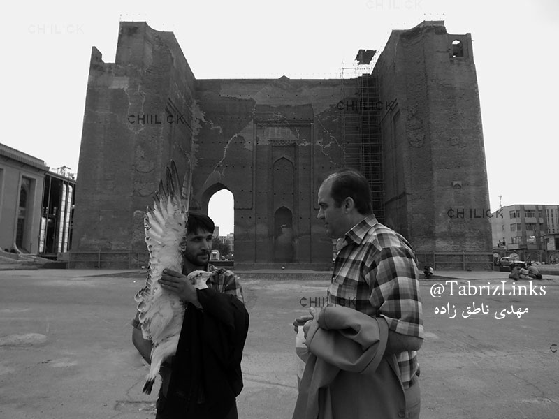 ارک تبریز