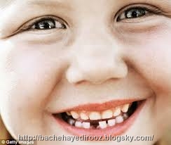 http://s9.picofile.com/file/8269954850/%D8%AF%D9%86%D8%AF%D8%A7%D9%86_%D8%B4%DB%8C%D8%B1%DB%8C.jpg