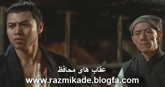 لو لیه در فیلم عقاب های محافظ