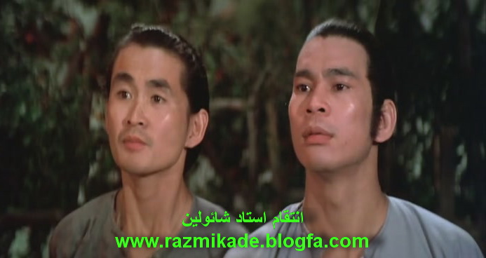 انتقام استاد شائولین