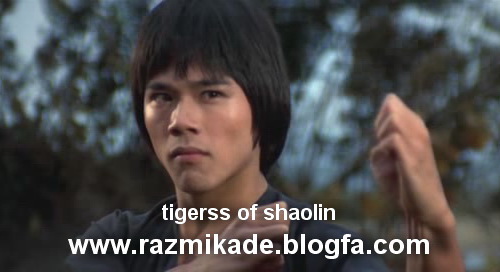 tigerss_of_shaolin_1979