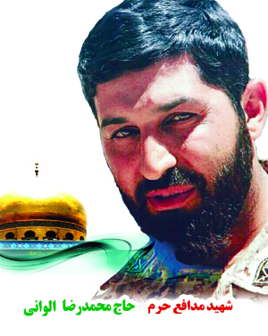 محمدرضا الوانی