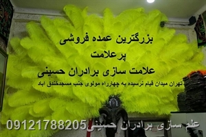 علم سازی برادران حسینی