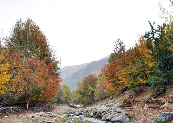 روستای بوژان