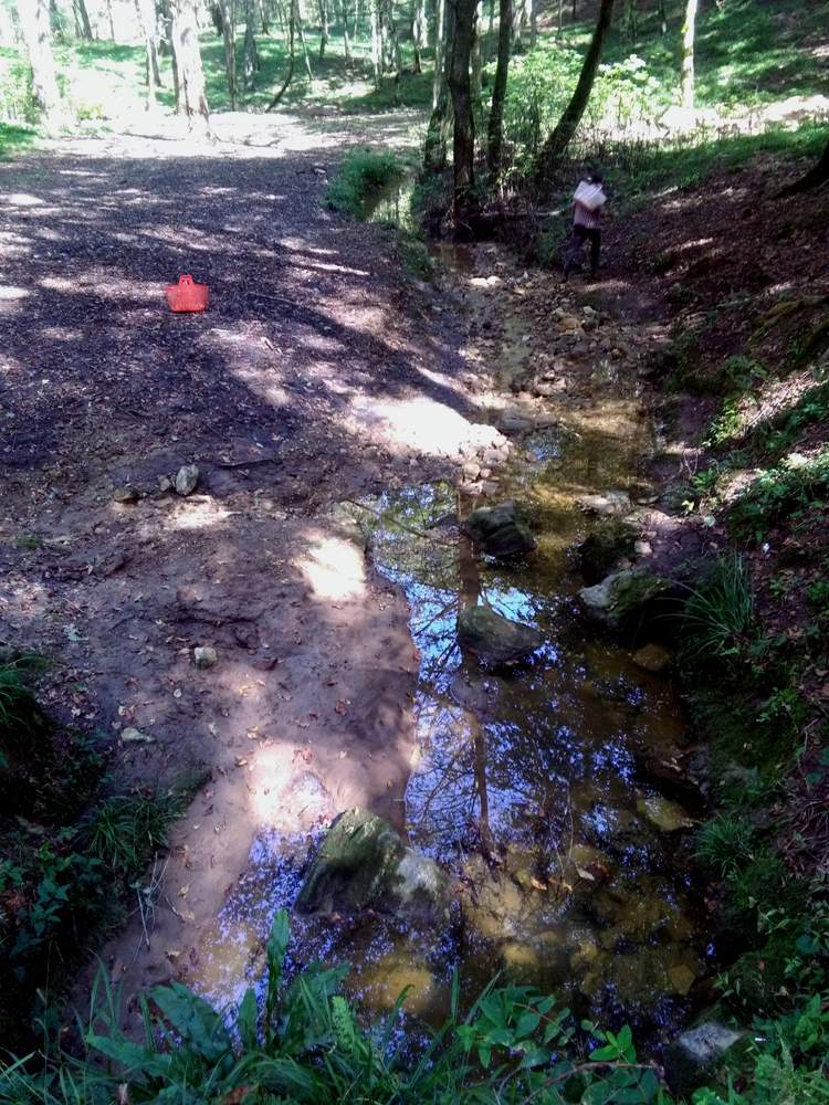 IMG_20161007_110929.jpg (750×1000)