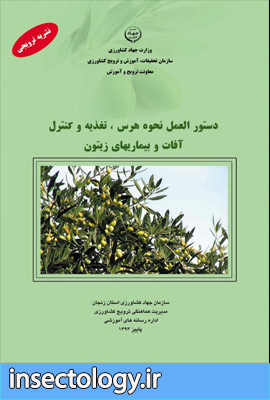 آفات زیتون