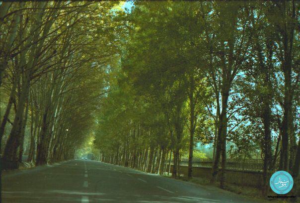 http://s9.picofile.com/file/8271966484/%DB%8C%D8%A7%D8%AF%DB%8C_%D8%A7%D8%B2_%D8%AA%D9%88%D9%86%D9%84_%D8%B3%D8%A8%D8%B2_%D9%85%D8%B4%D9%87%D8%AF.jpg