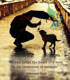 http://s9.picofile.com/file/8272150776/a99690d582813377fba7500267be127e_Copy.jpg