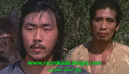 وانگ لونگ وی