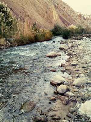 رودخانه روستای محمودآباد