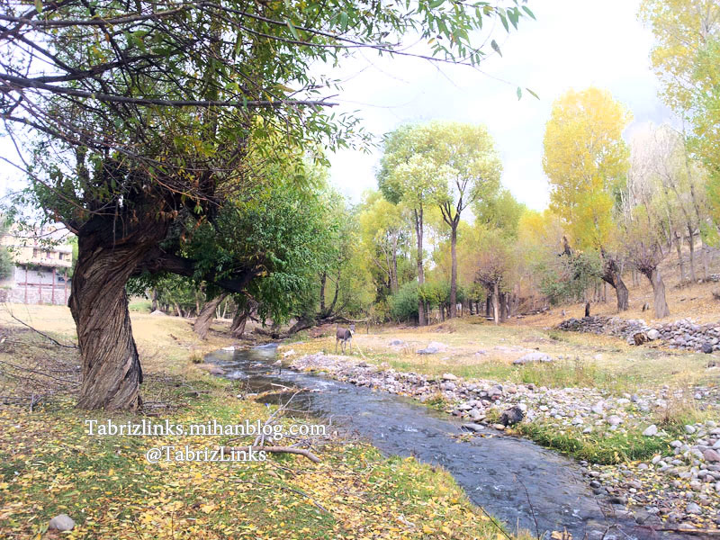 روستای متنق