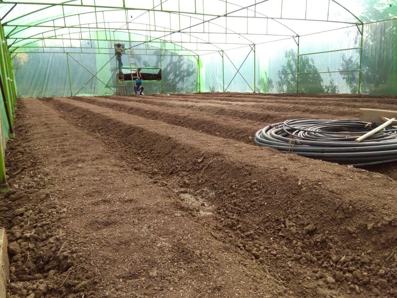 photo_2016_11_02_11_31_40.jpg (1280×960)