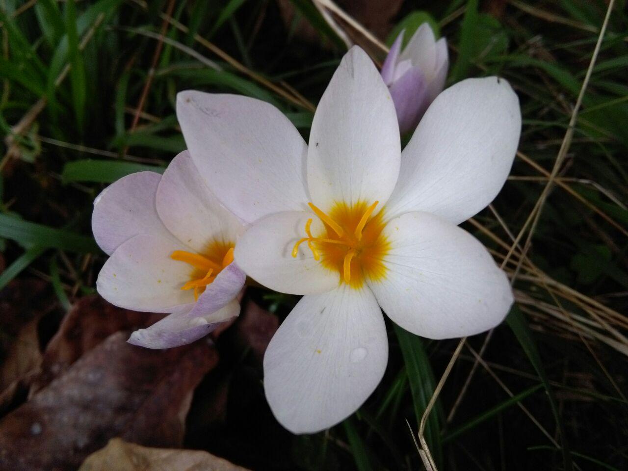 photo_2016_11_02_11_31_51.jpg (1280×960)