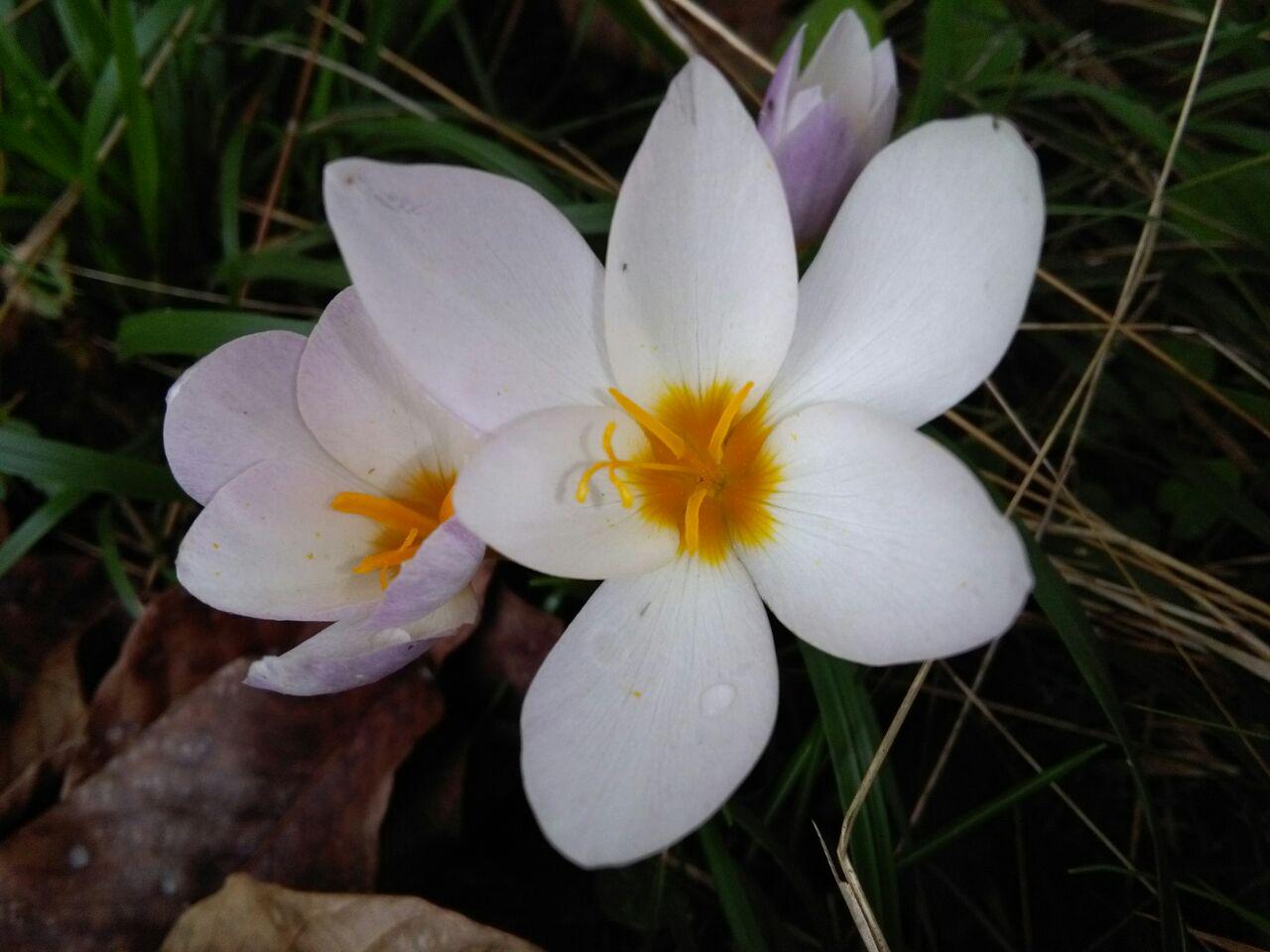 photo_2016_11_02_11_31_56.jpg (1280×960)