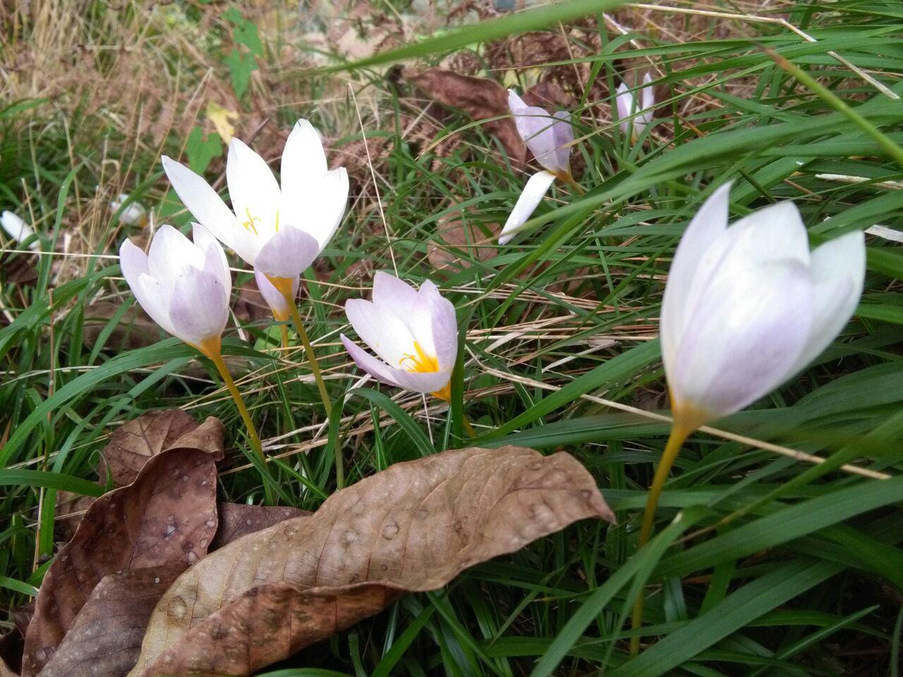 photo_2016_11_02_11_32_05.jpg (1280×960)