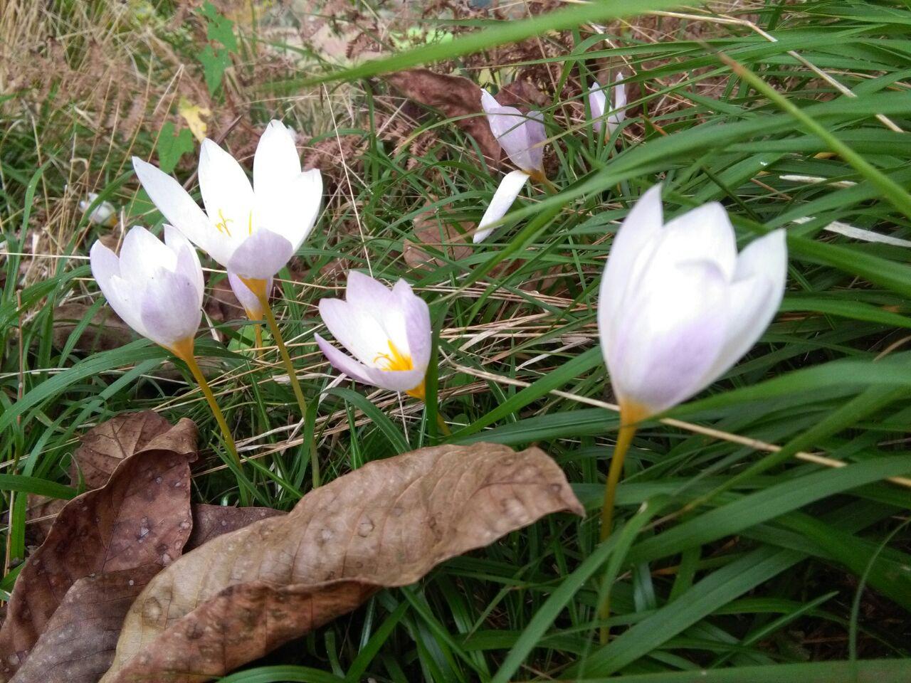 photo_2016_11_02_11_32_20.jpg (1280×960)