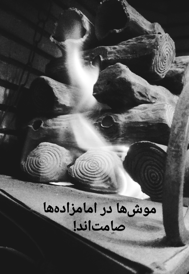 موشها در امامزادهها صامتاند