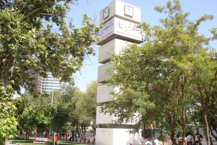 دانشگاه