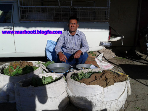 http://s9.picofile.com/file/8274100026/merbet1.jpg