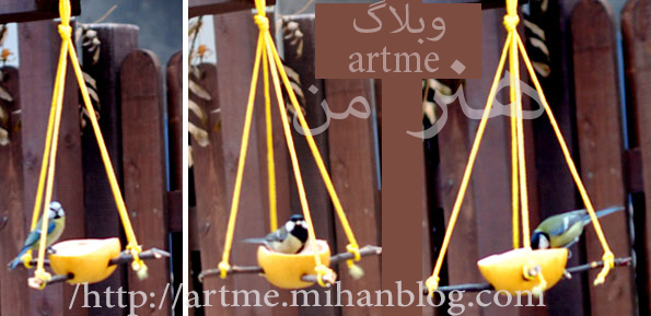 http://s9.picofile.com/file/8274362718/4200000.jpg