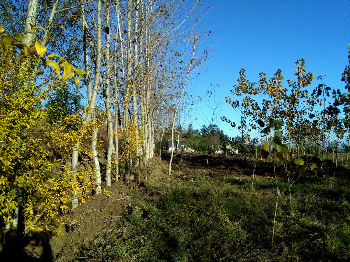 1_7_.jpg (1200×900)