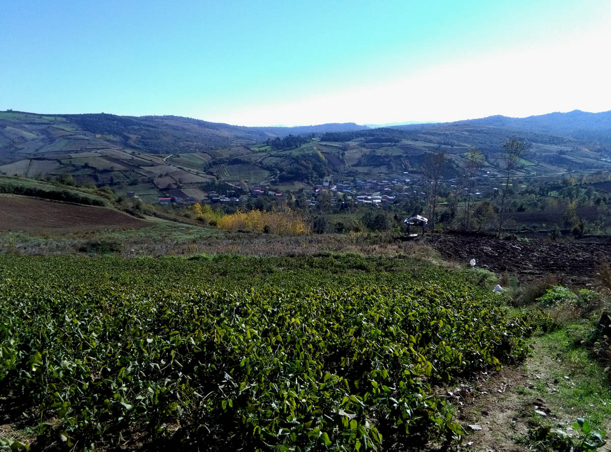 1_13_.jpg (1200×888)