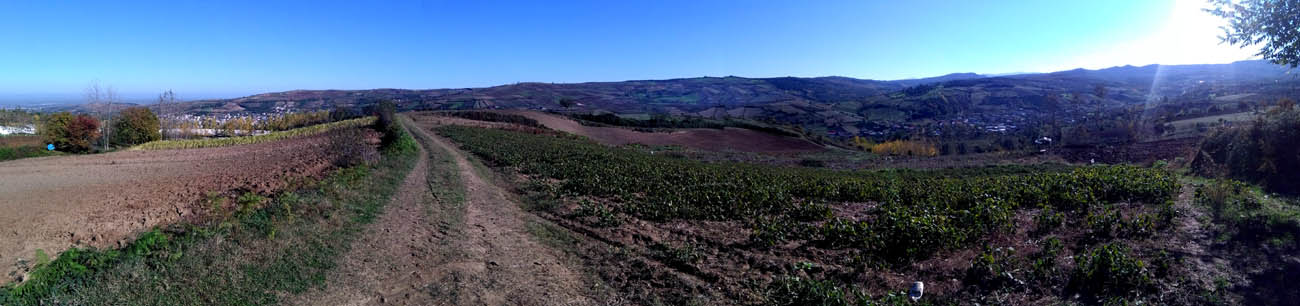 1_15_.jpg (1300×306)