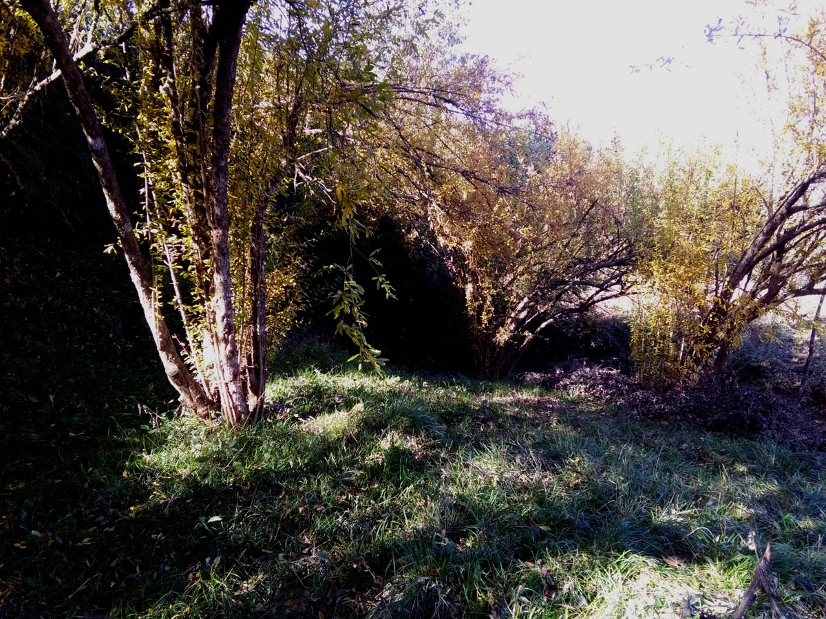 1_25_.jpg (1200×900)