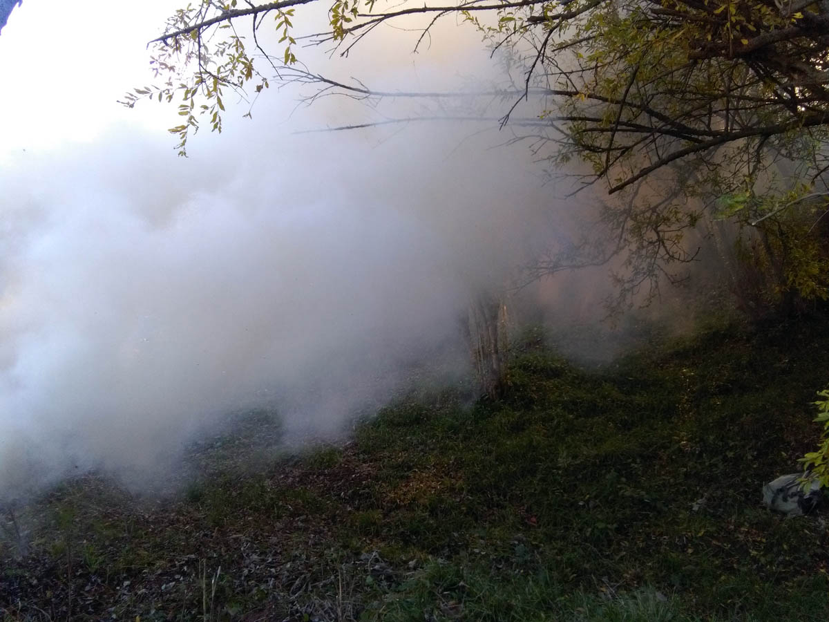 1_29_.jpg (1200×900)