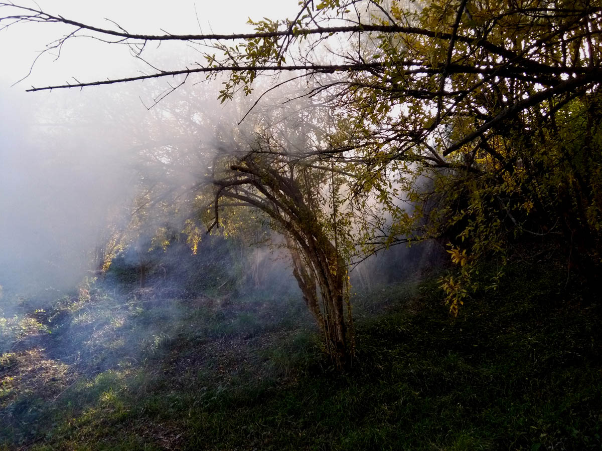 1_32_.jpg (1200×900)