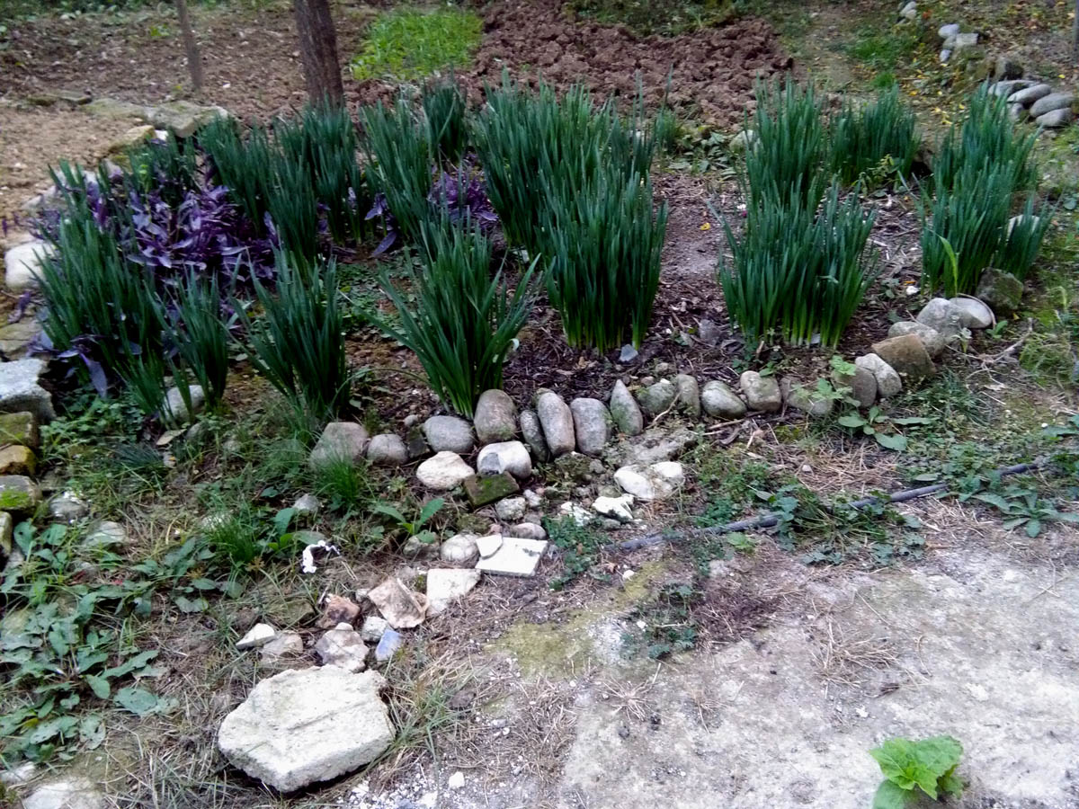 1_38_.jpg (1200×900)