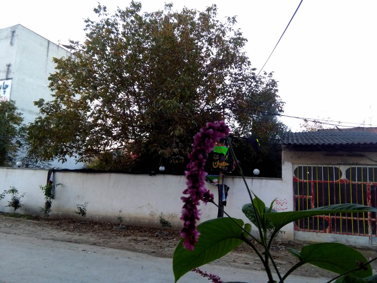 1_40_.jpg (1200×900)