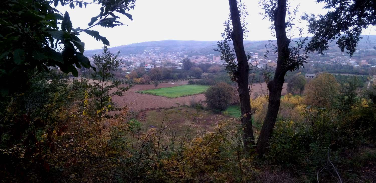 1_1_.jpg (1500×730)