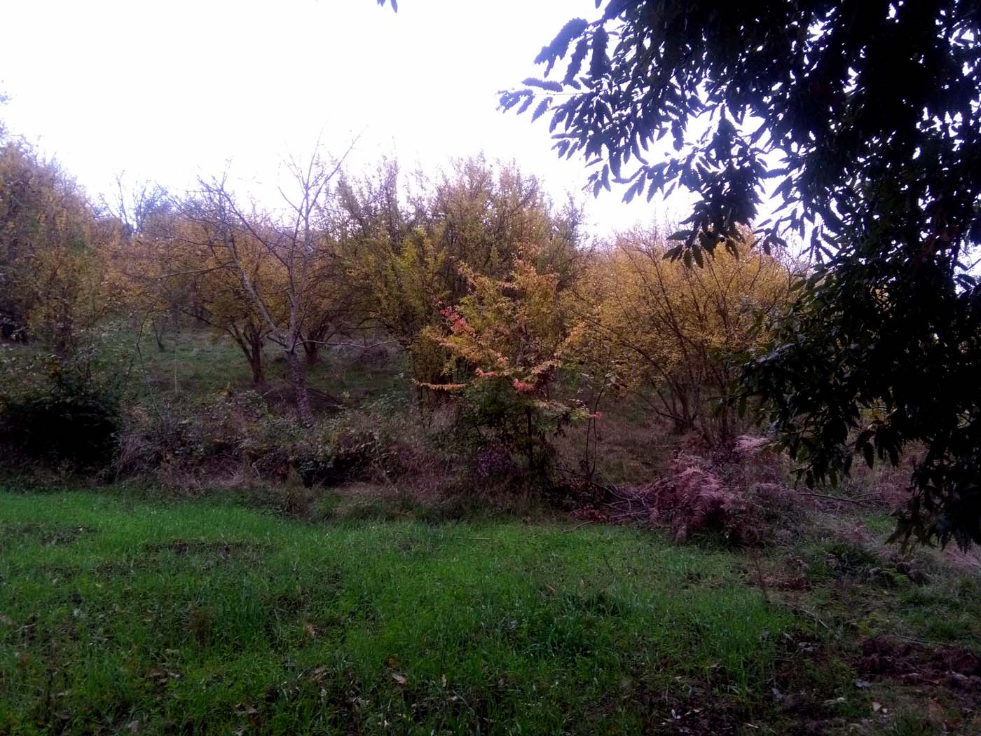 1_2_.jpg (1400×1050)