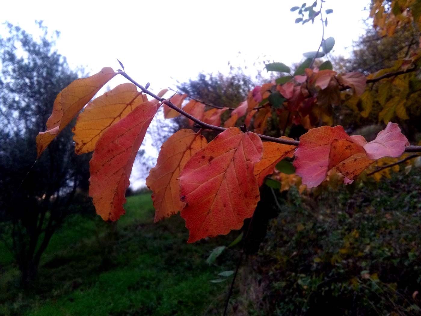 1_7_.jpg (1400×1050)