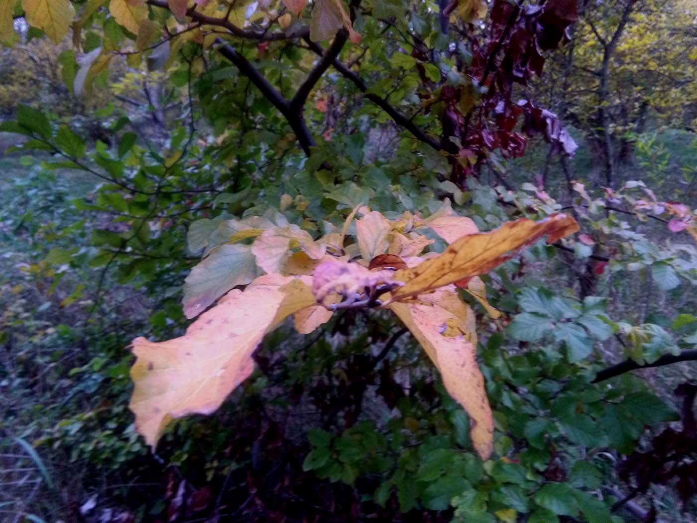 1_8_.jpg (1400×1050)