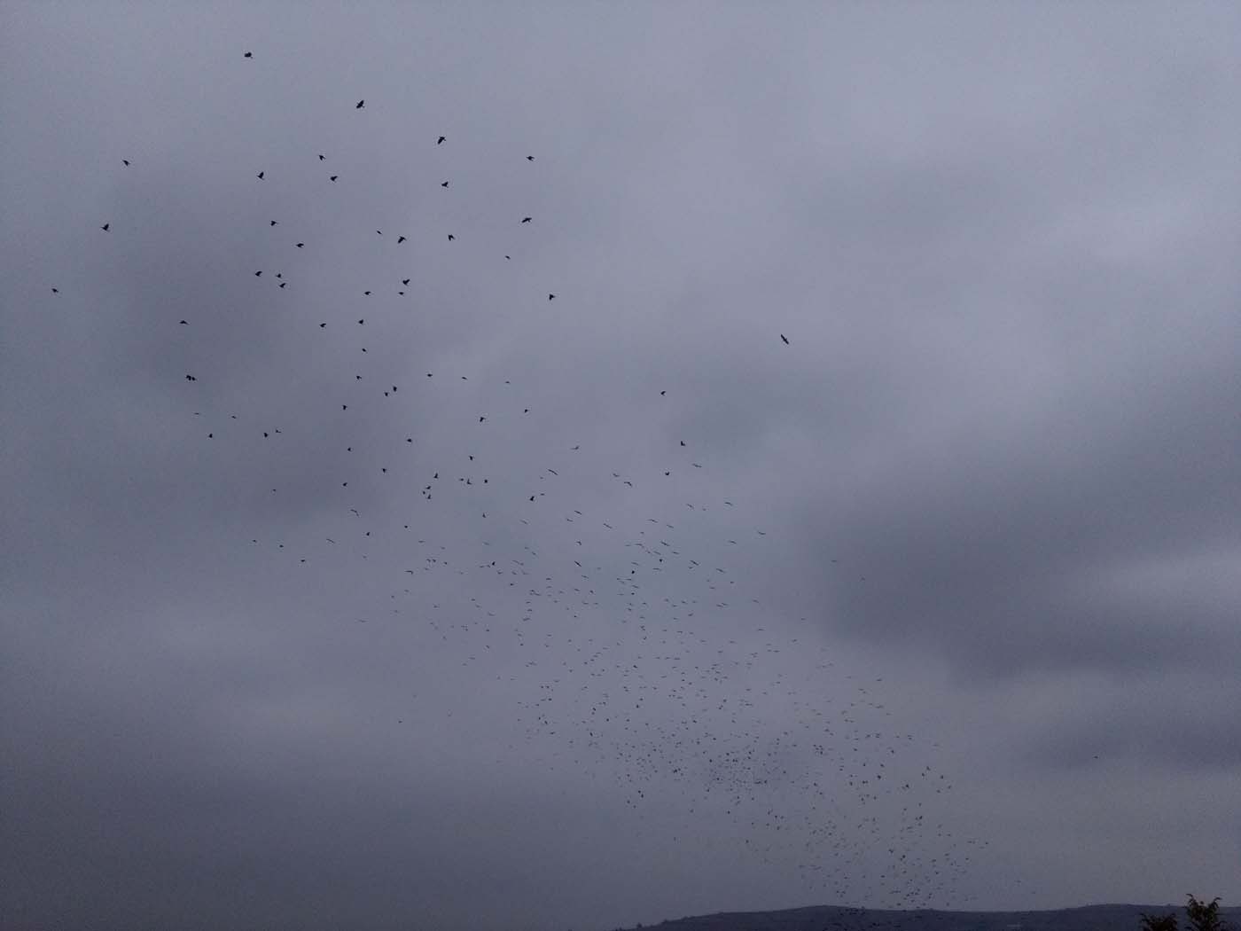 1_13_.jpg (1400×1050)