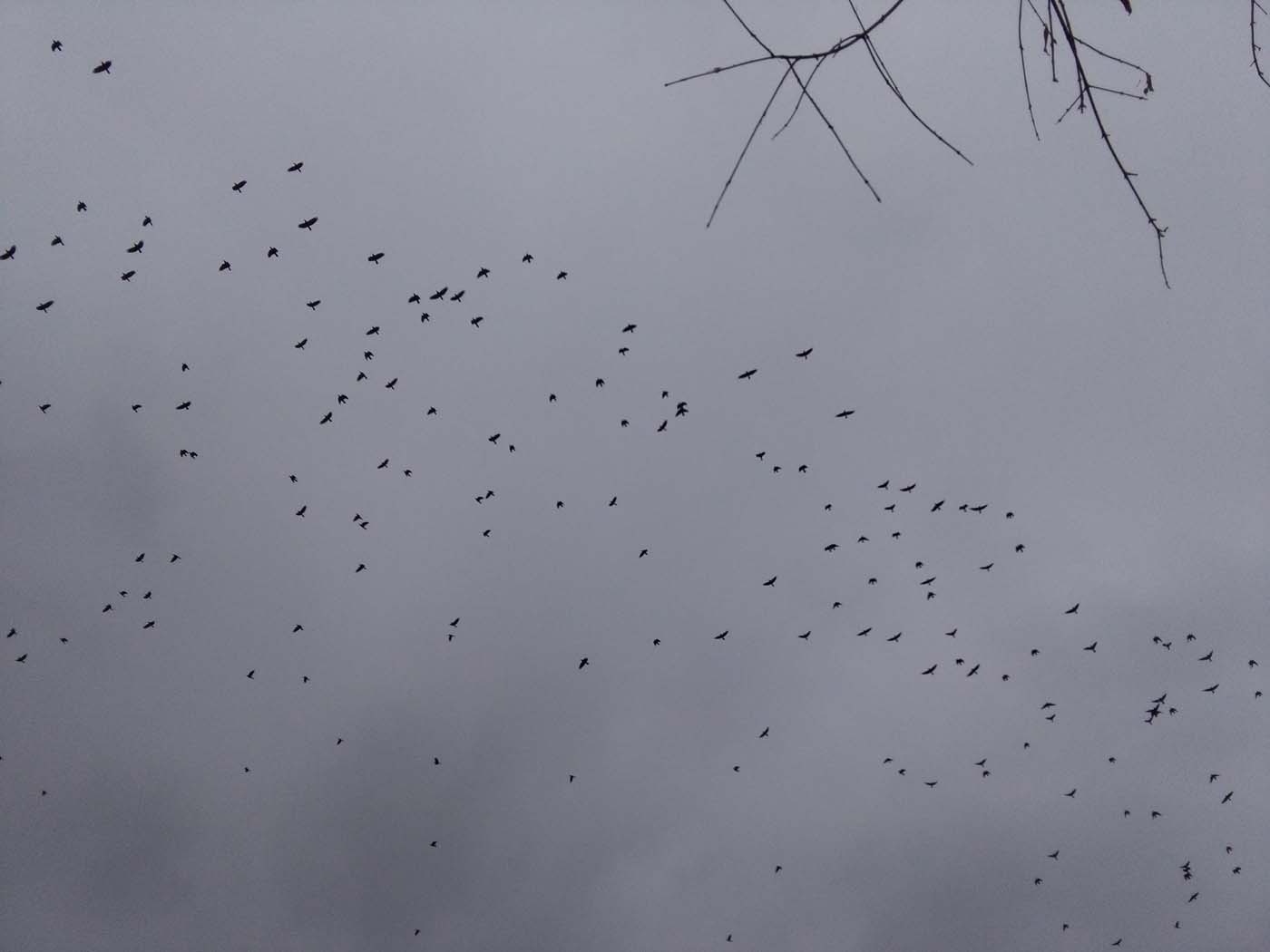 1_15_.jpg (1400×1050)