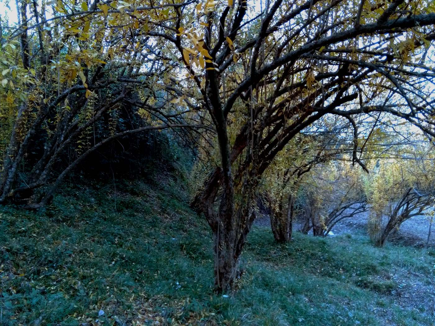 1_22_.jpg (1400×1050)