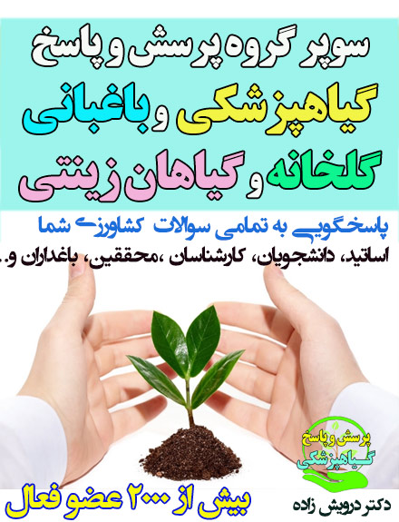 گیاهپزشکی